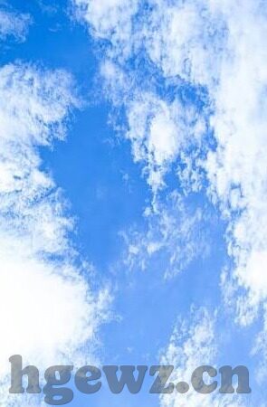 91大象传媒橘子-91大象传媒与橘子的意外邂逅，网络文化的新奇视角