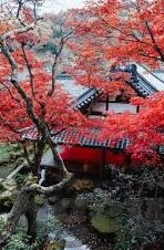 91麻豆精品91久久久久久久-小确幸之光——9191久久久的温暖日常