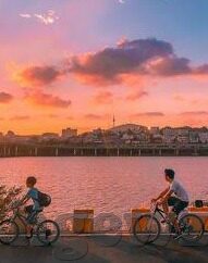 91麻豆精品成人免费视频-探索成人内容健康观念的新篇章，解析91麻豆精品