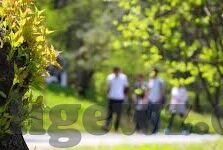 97麻豆免费视频-97麻豆，浅析当代网络内容与其对生活的影响