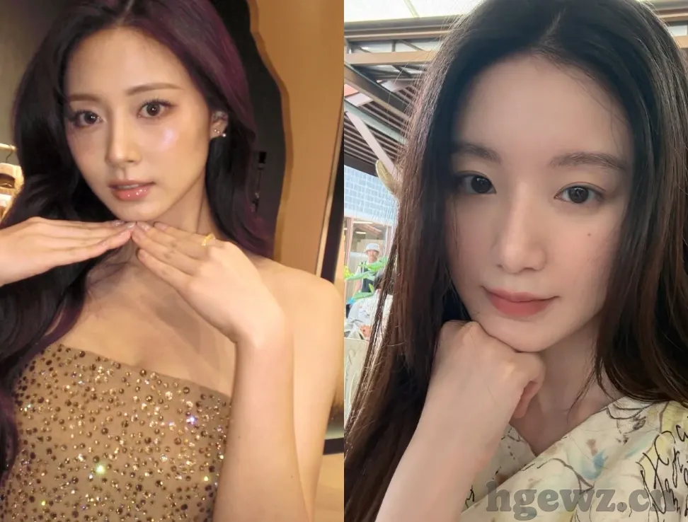 大象传媒app汅-大象传媒app的多元娱乐体验与内容探索