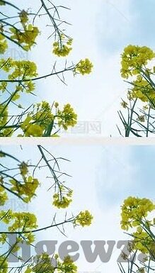 国产成人高清视频-国产成人高清视频，文化与伦理的边界探索