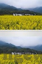 国产精品一区二区三区-国产影视精品的多元化探索，一区、二区、三区的独特魅力