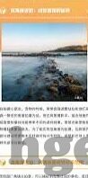 麻豆视频官网-麻豆视频官网，网络视频新纪元的门户
