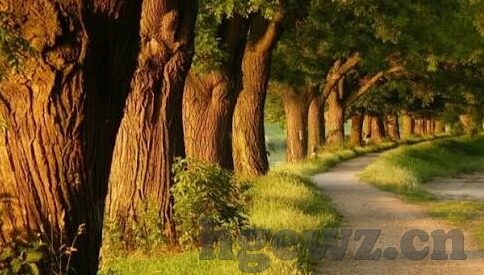 神马影院我不卡手版中文字幕-神马影院，流畅观影新体验