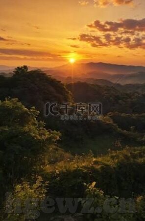 无码人妻视频一区二区三区-无码人妻视频，网络伦理的灰色地带